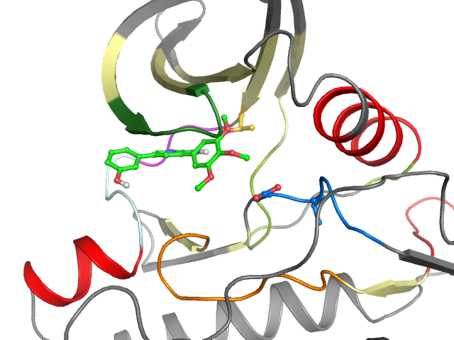 The orthosteric binding pocket