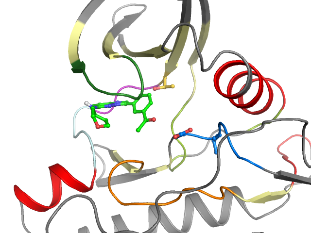 The orthosteric binding pocket
