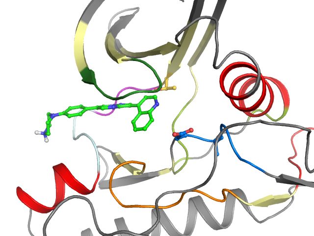 The orthosteric binding pocket