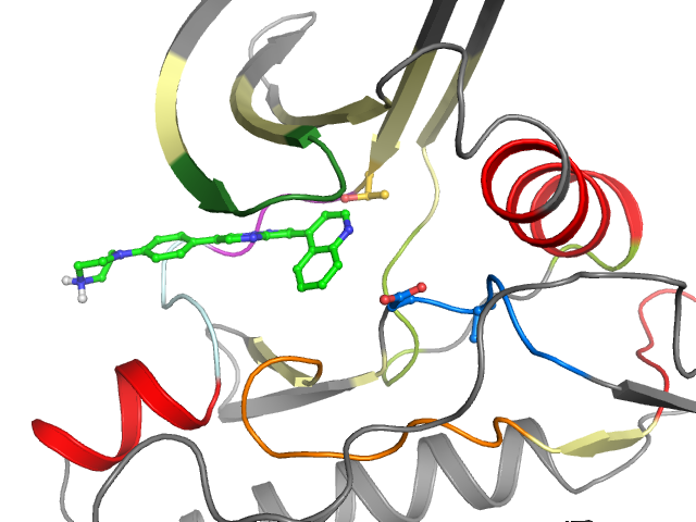 The orthosteric binding pocket