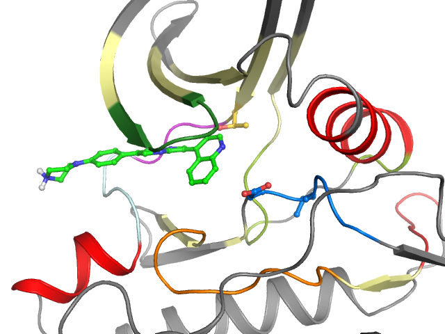 The orthosteric binding pocket