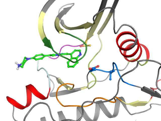 The orthosteric binding pocket