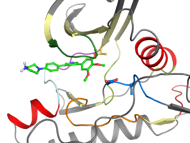 The orthosteric binding pocket