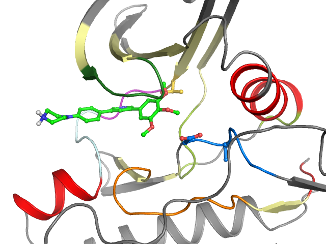 The orthosteric binding pocket