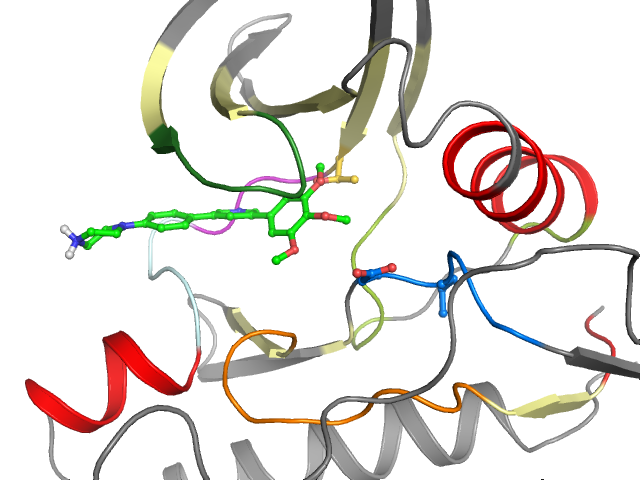The orthosteric binding pocket