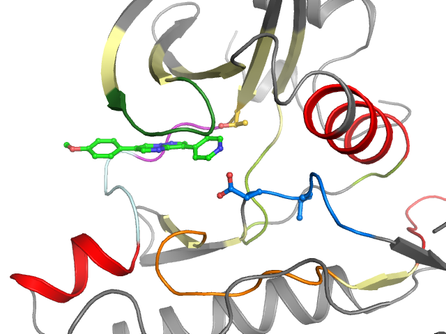 The orthosteric binding pocket