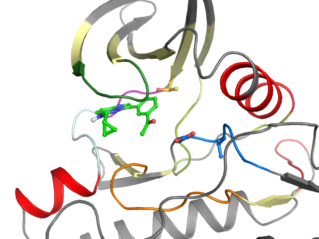 The orthosteric binding pocket