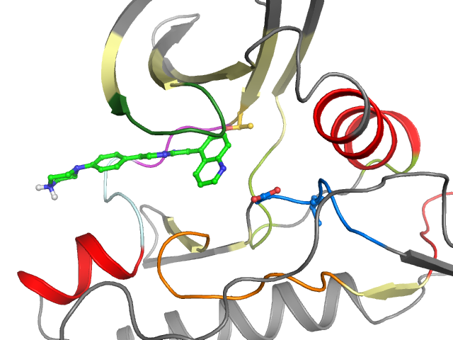 The orthosteric binding pocket