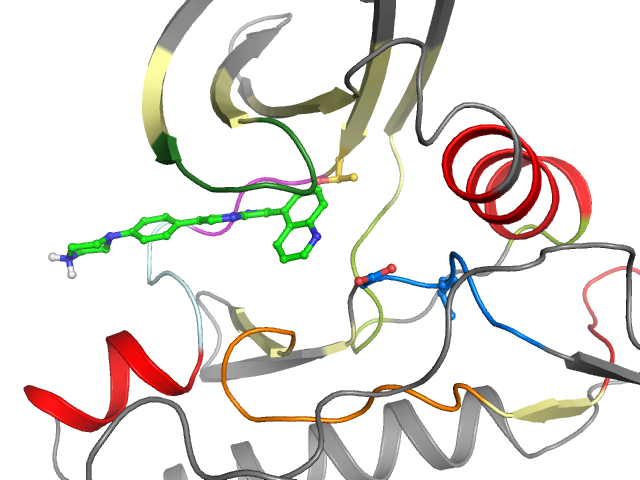 The orthosteric binding pocket