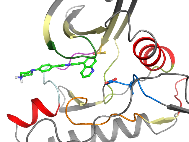 The orthosteric binding pocket