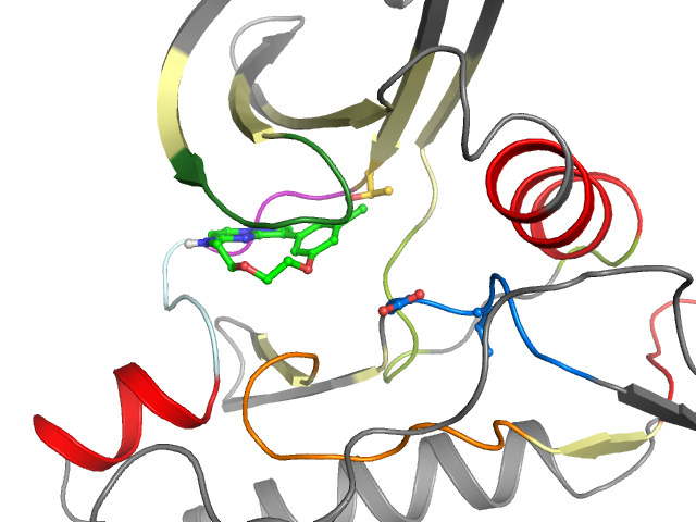 The orthosteric binding pocket