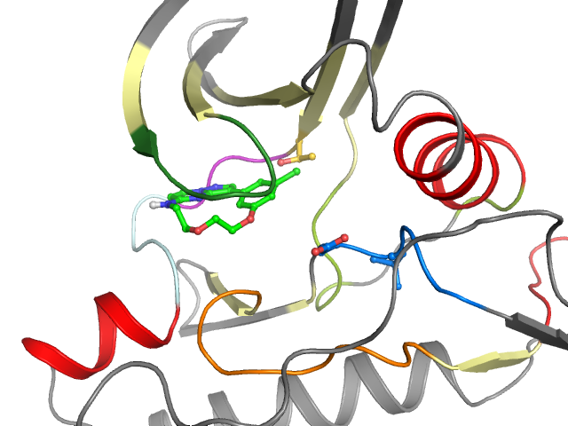 The orthosteric binding pocket