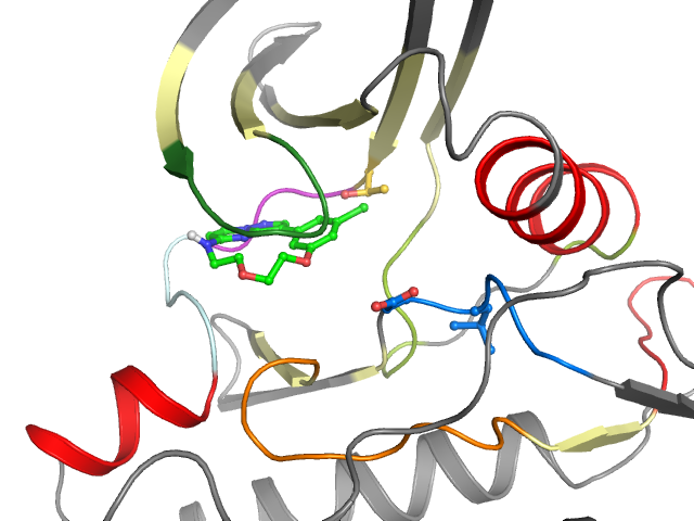 The orthosteric binding pocket