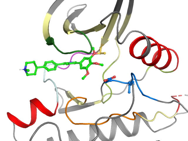 The orthosteric binding pocket