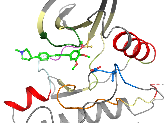 The orthosteric binding pocket