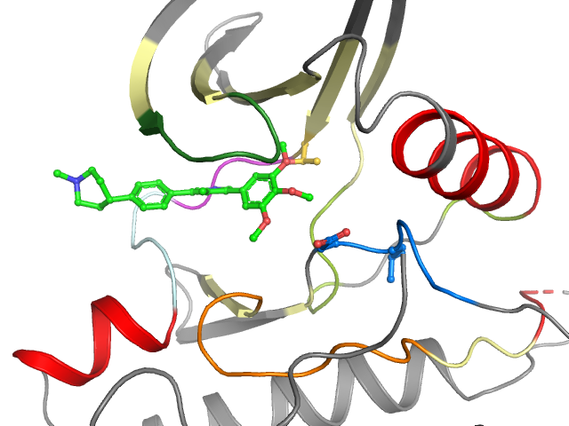 The orthosteric binding pocket