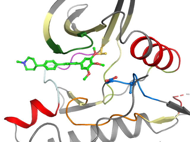 The orthosteric binding pocket