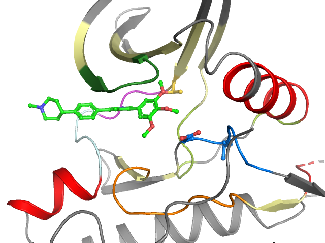 The orthosteric binding pocket