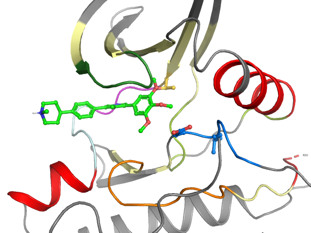 The orthosteric binding pocket