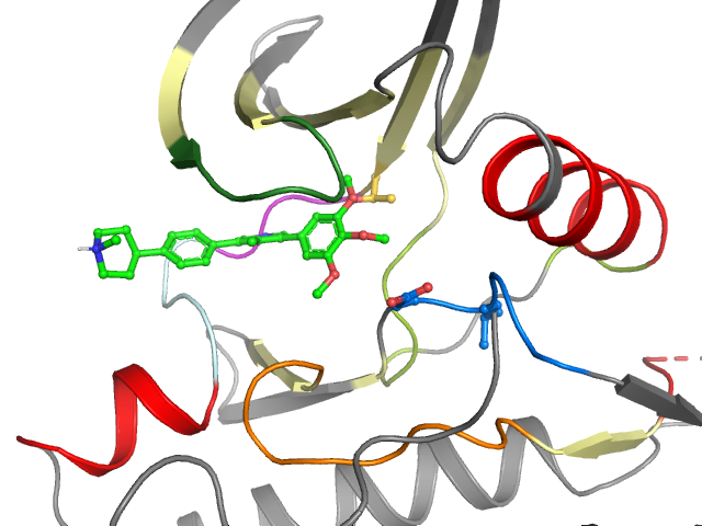 The orthosteric binding pocket