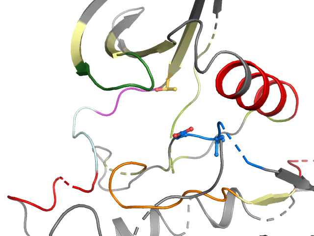 The orthosteric binding pocket