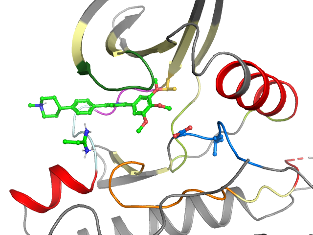The orthosteric binding pocket
