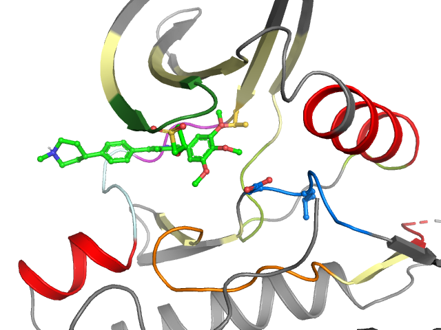 The orthosteric binding pocket