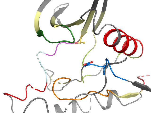 The orthosteric binding pocket