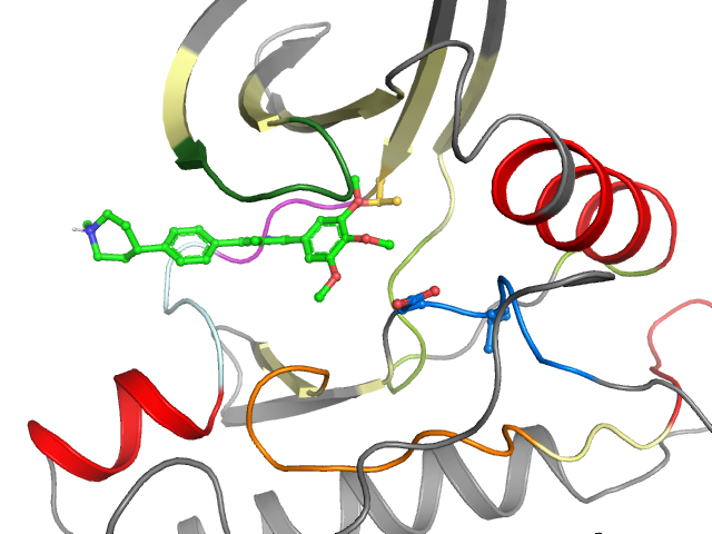 The orthosteric binding pocket
