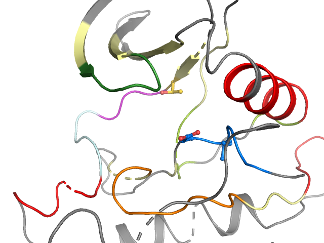 The orthosteric binding pocket