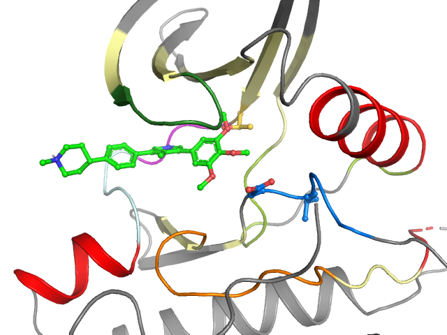The orthosteric binding pocket