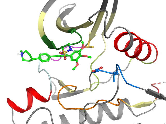 The orthosteric binding pocket