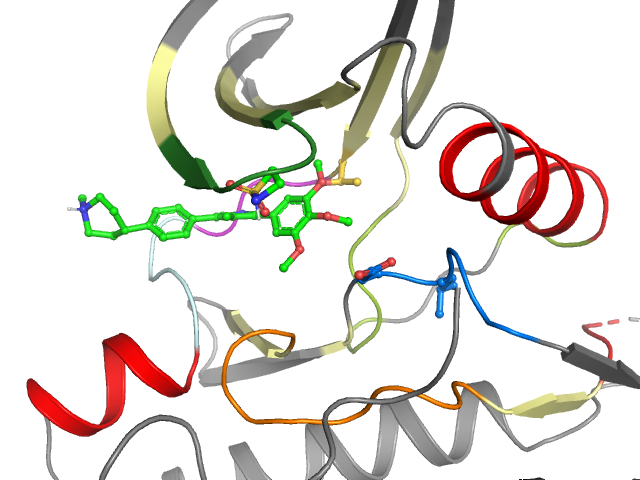 The orthosteric binding pocket