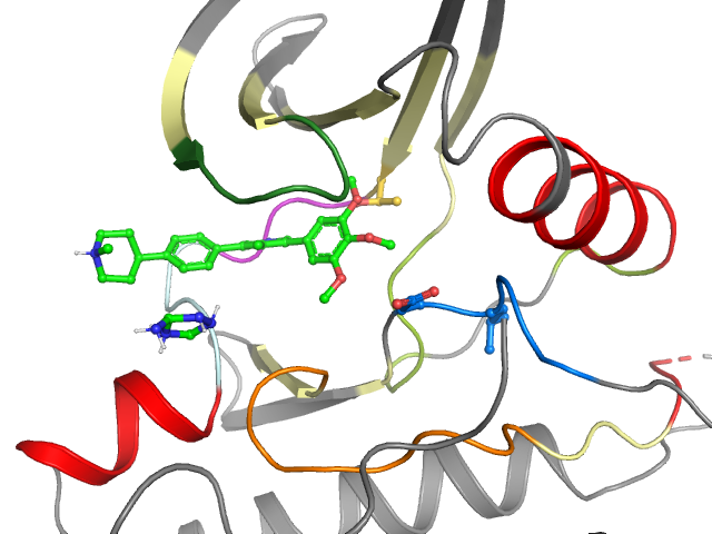 The orthosteric binding pocket