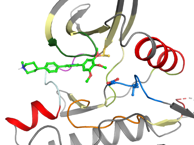 The orthosteric binding pocket