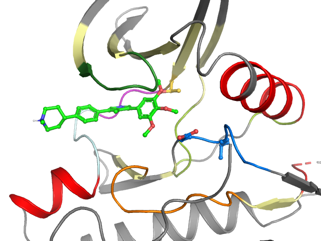 The orthosteric binding pocket