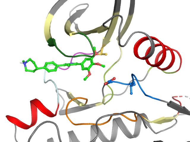 The orthosteric binding pocket