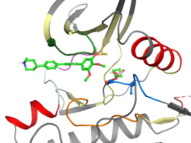 The orthosteric binding pocket