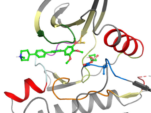 The orthosteric binding pocket