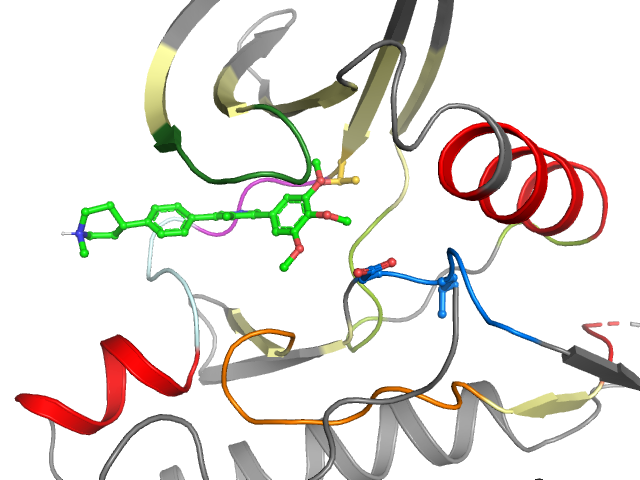 The orthosteric binding pocket