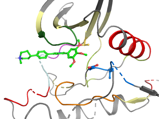 The orthosteric binding pocket