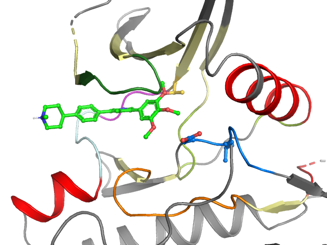 The orthosteric binding pocket