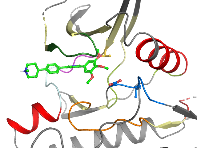 The orthosteric binding pocket