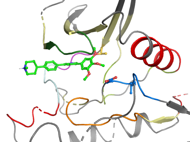 The orthosteric binding pocket