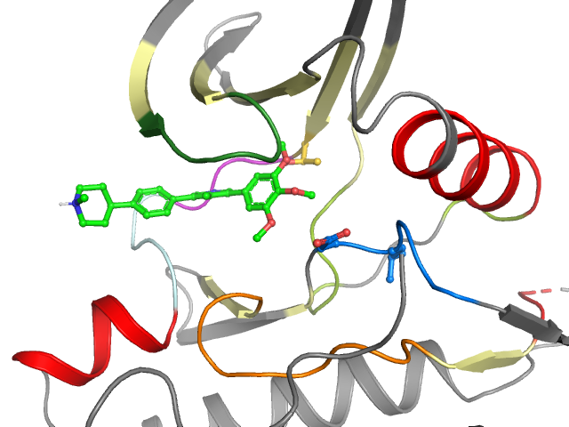 The orthosteric binding pocket