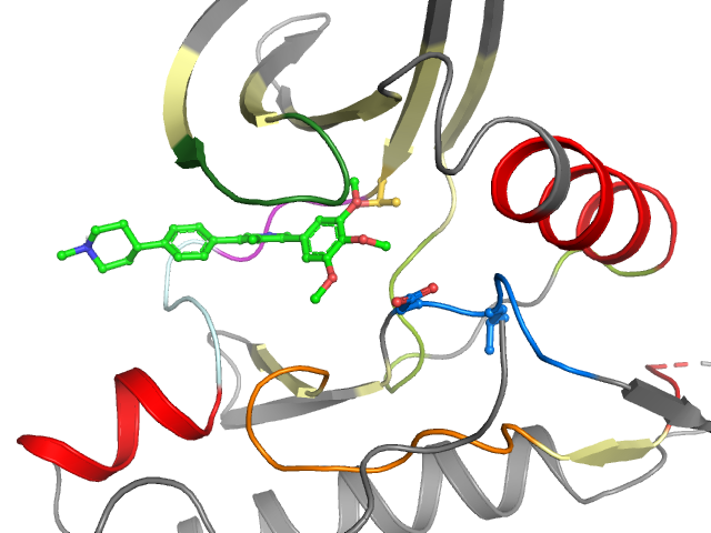The orthosteric binding pocket