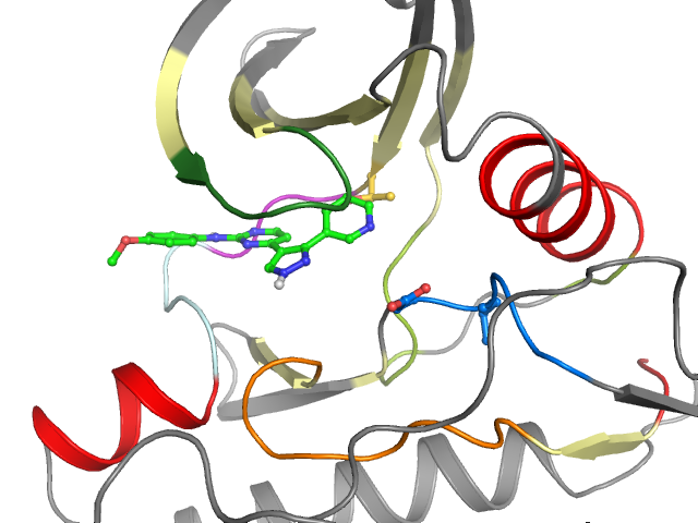 The orthosteric binding pocket