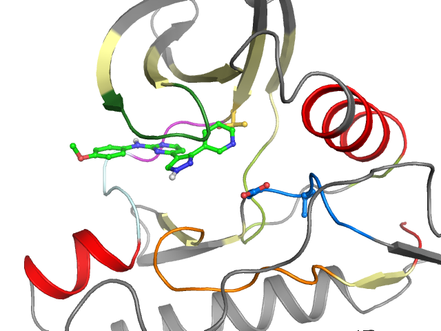 The orthosteric binding pocket