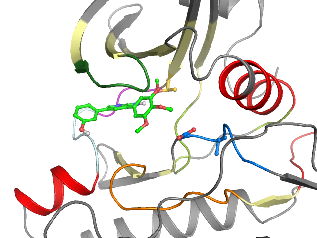 The orthosteric binding pocket