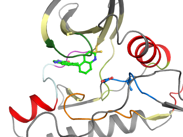 The orthosteric binding pocket
